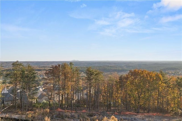 231 Laurel Vista Dr, Canton, GA 30114 - water view with a forest