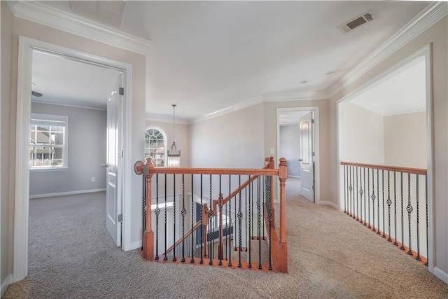 corridor featuring ornamental molding, carpet floors, and an inviting chandelier