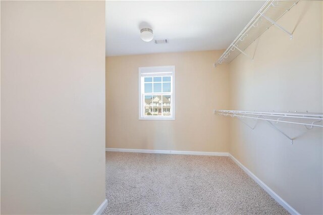 walk in closet featuring carpet floors