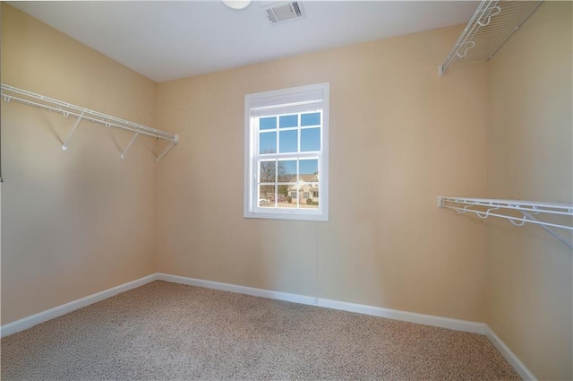 spacious closet featuring carpet flooring