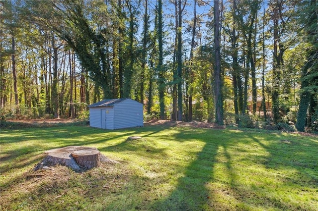 view of yard featuring a storage unit