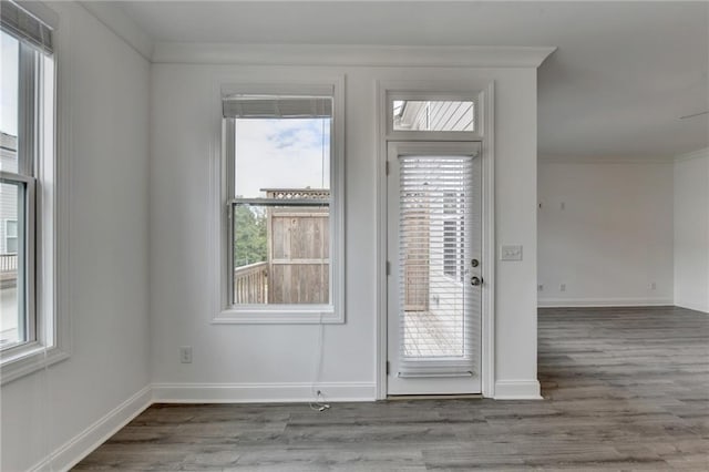 interior space with baseboards, wood finished floors, and crown molding