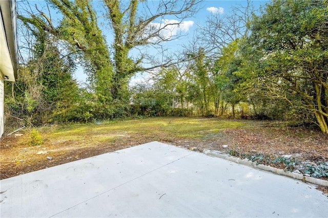 view of yard featuring a patio