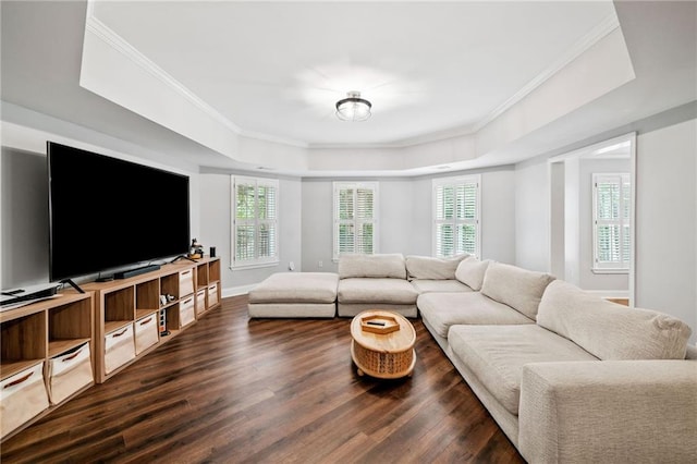 6219 Creekstone Path, Cumming, GA 30041 - living room featuring a raised ceiling, dark wood-style flooring, crown molding, and baseboards