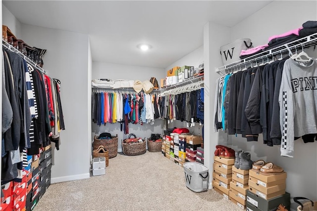 spacious closet featuring carpet flooring