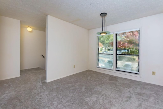 spare room featuring carpet flooring and a textured ceiling