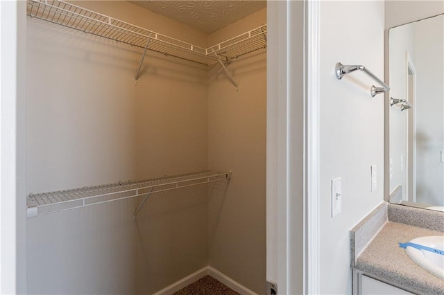 view of spacious closet