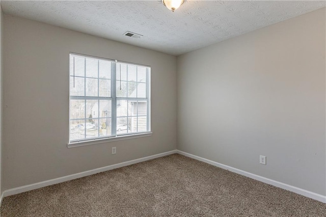 spare room featuring a textured ceiling, carpet, and a healthy amount of sunlight