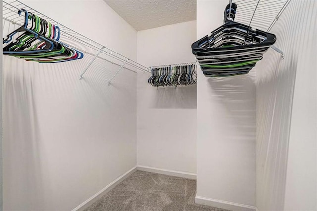855 Lakeside Cir, Covington, GA 30016 - walk in closet with carpet floors