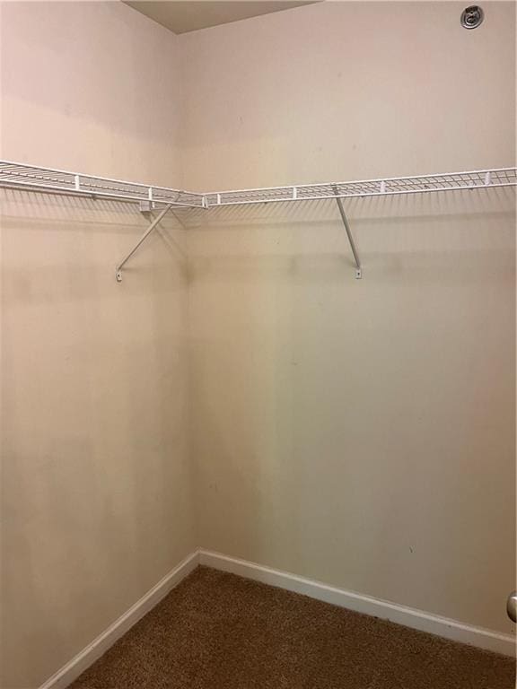 walk in closet featuring dark carpet