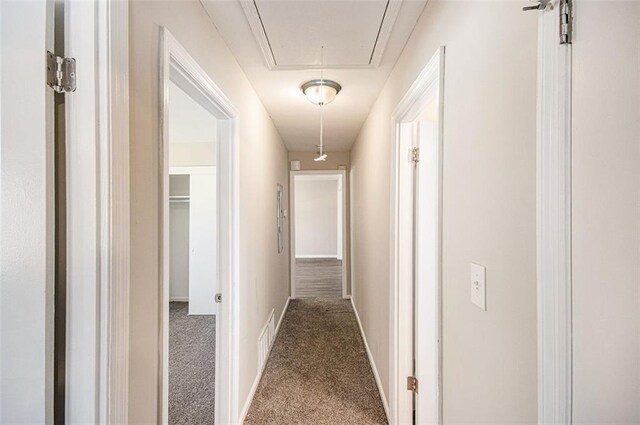 hallway with attic access, visible vents, baseboards, and carpet floors