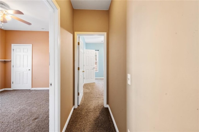 hallway featuring carpet flooring