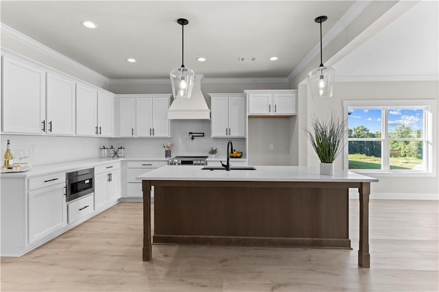 kitchen with white cabinetry, custom range hood, sink, and an island with sink