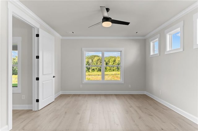 empty room featuring crown molding, ceiling fan, and light wood-type flooring