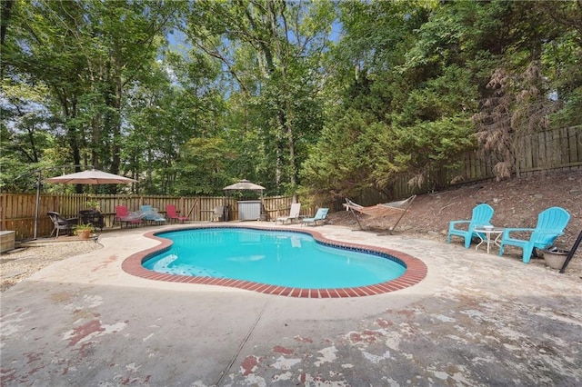 view of swimming pool with a patio area