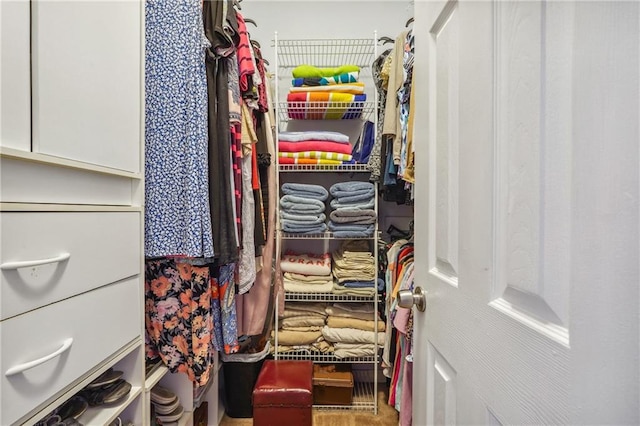 view of spacious closet