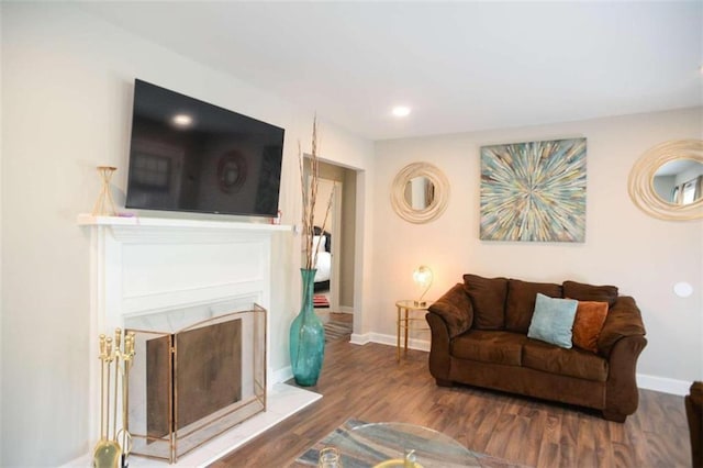 living room featuring dark wood-type flooring