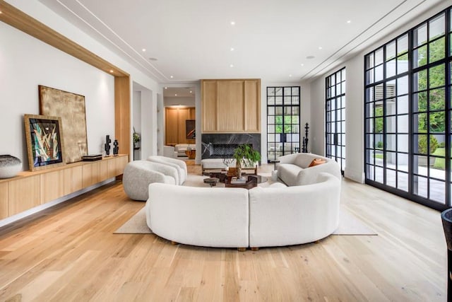 living room featuring a fireplace and light wood-type flooring