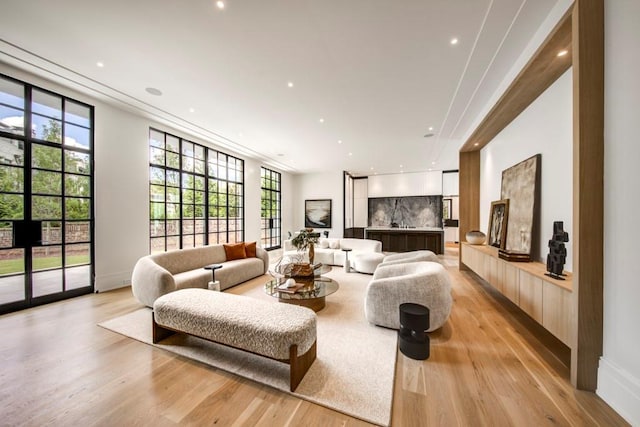 living room featuring light hardwood / wood-style floors