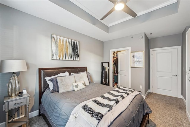 bedroom with a raised ceiling, ceiling fan, a spacious closet, carpet floors, and a closet