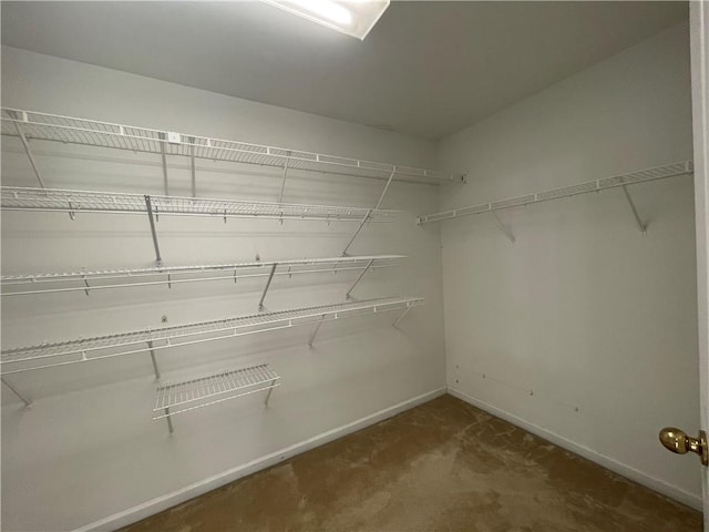 spacious closet featuring carpet floors