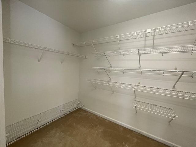 view of spacious closet