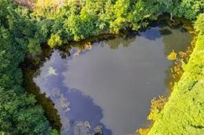 144 Bobs Dr SW, Mableton, GA 30126 - aerial view with a water view