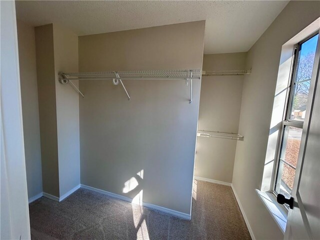 spacious closet featuring dark colored carpet