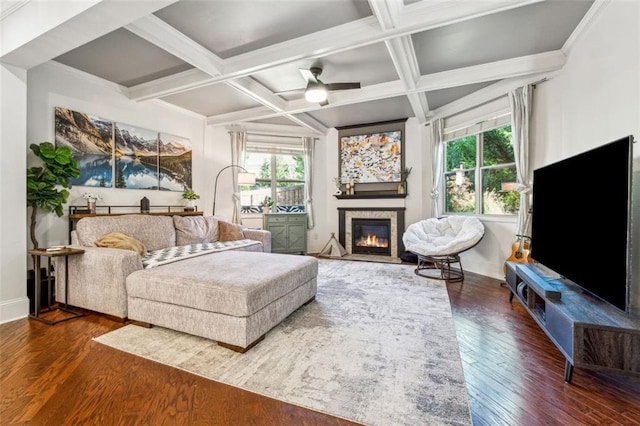 living room featuring a wealth of natural light, hardwood / wood-style floors, coffered ceiling, and ceiling fan