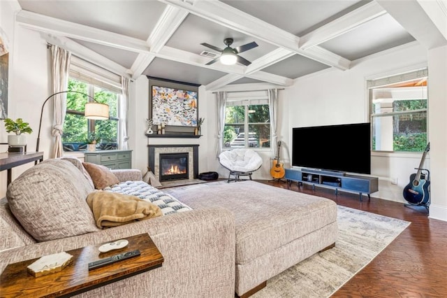 living room with a wealth of natural light, coffered ceiling, and dark hardwood / wood-style flooring