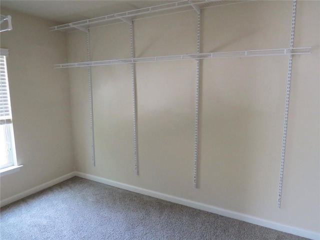 58 Torero Trl, Newnan, GA 30263 - spacious closet with carpet flooring