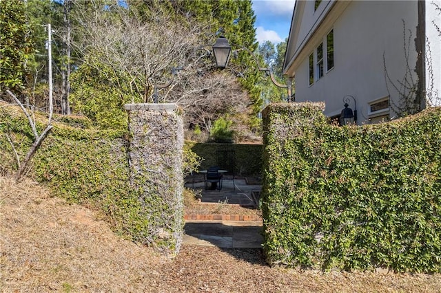 view of yard featuring a patio