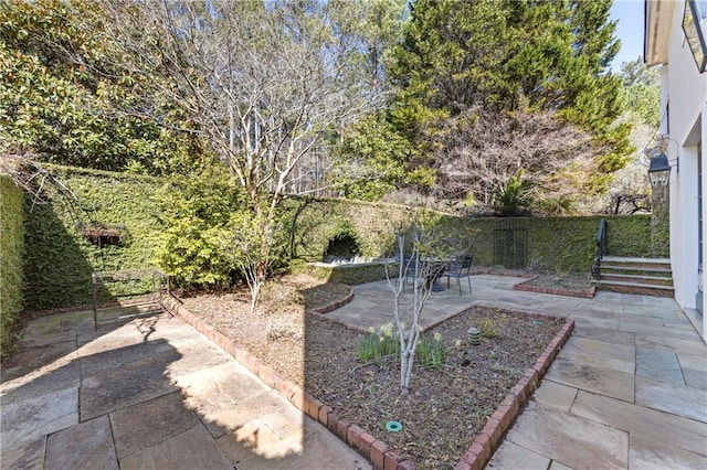 view of yard featuring a patio and a fenced backyard