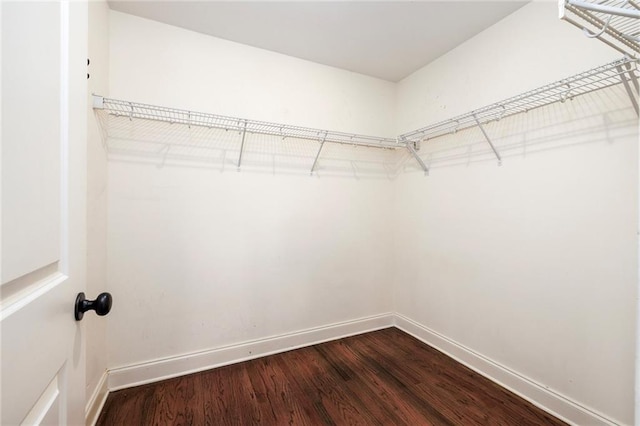 spacious closet with hardwood / wood-style flooring