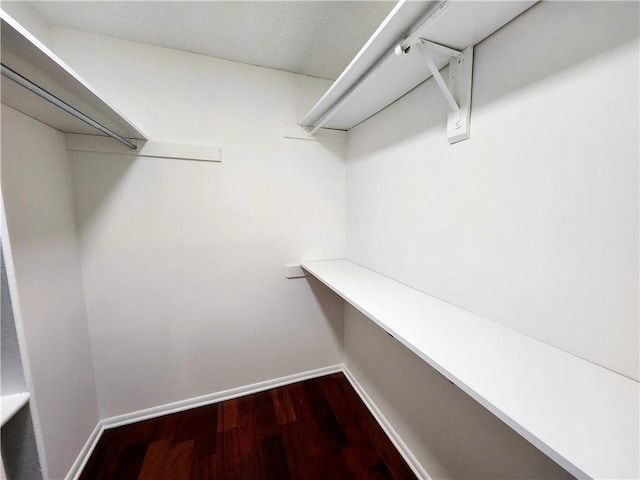 walk in closet featuring wood-type flooring