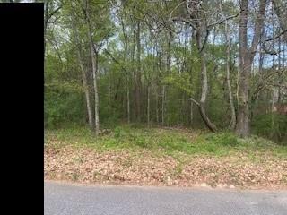 3607 Masters Rd, Ellenwood, GA 30294