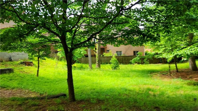 1171 Goodwin Rd NE, Atlanta, GA 30324 - view of yard