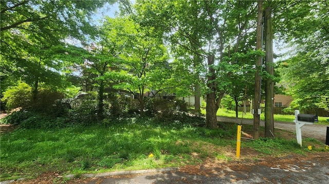 1171 Goodwin Rd NE, Atlanta, GA 30324 - view of yard