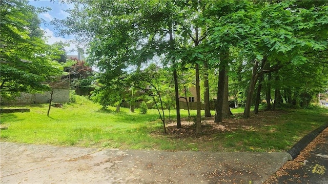 1171 Goodwin Rd NE, Atlanta, GA 30324 - view of yard