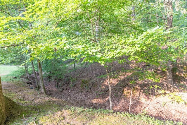 1253 Rivermark Ct, Lawrenceville, GA 30043 - view of woods