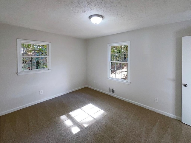 carpeted empty room featuring a textured ceiling and a wealth of natural light