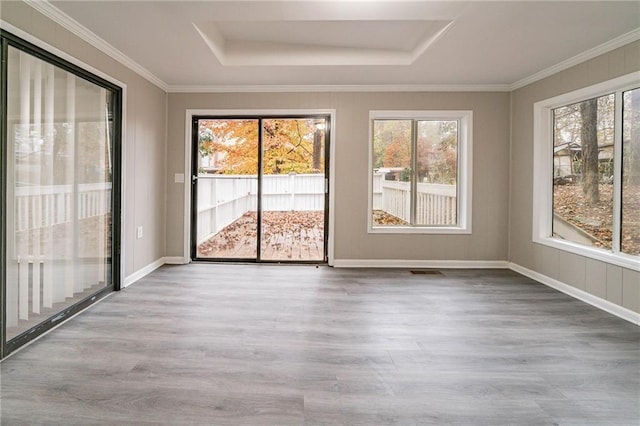 unfurnished sunroom with a tray ceiling and a wealth of natural light