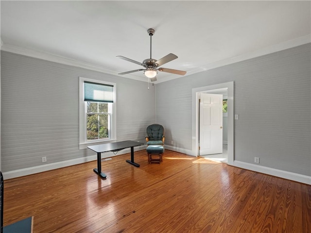 office space featuring ceiling fan, hardwood / wood-style floors, and ornamental molding