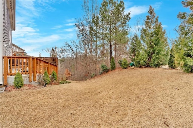 view of yard featuring a wooden deck