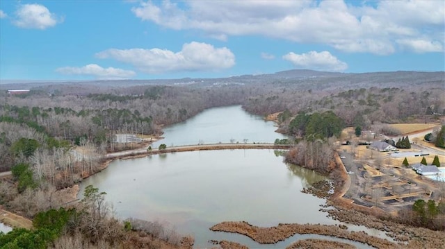 bird's eye view with a forest view and a water view