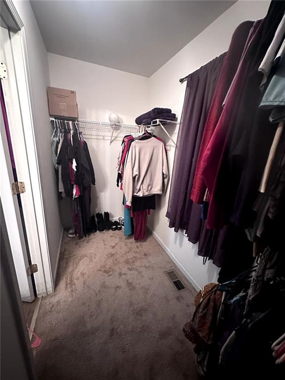 walk in closet with carpet