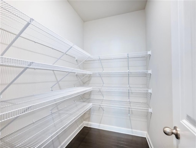 4905 Sterling Close, Buford, GA 30518 - view of pantry