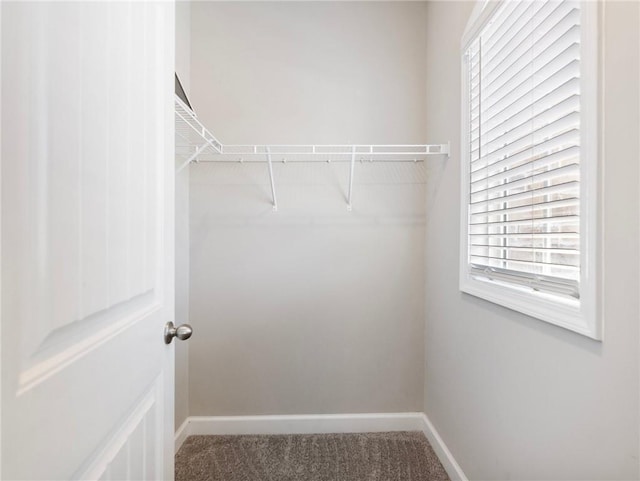 4905 Sterling Close, Buford, GA 30518 - spacious closet featuring carpet