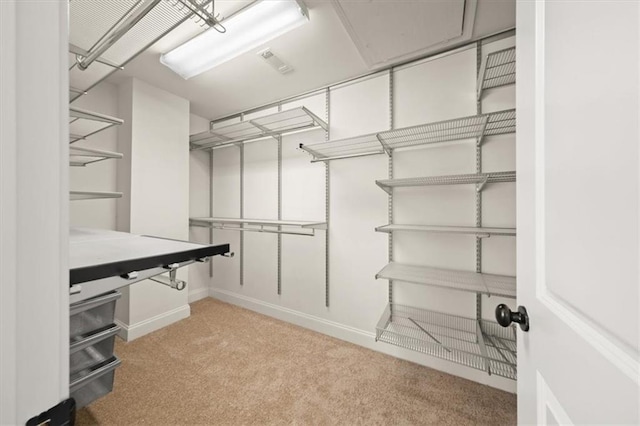 spacious closet with light colored carpet