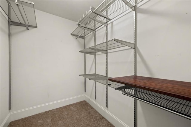 spacious closet with carpet flooring